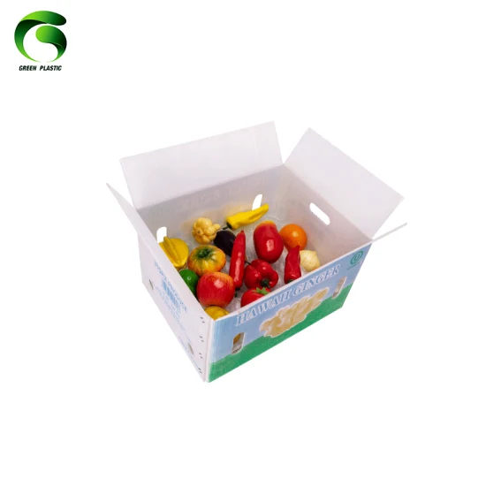 Vegetable and Fruit PP Corrugated Plastic Packaging Box